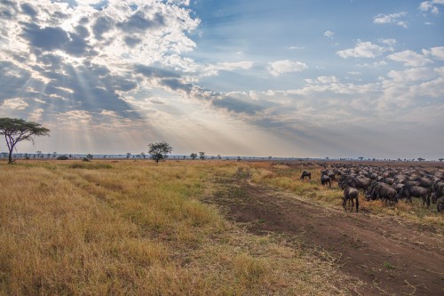 Tanzania26-9735.jpg