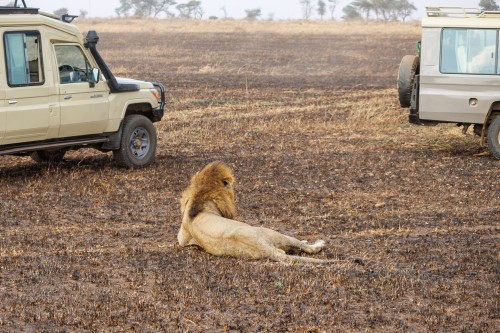 Tanzania26-9747.jpg