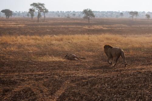 Tanzania26-9778.jpg