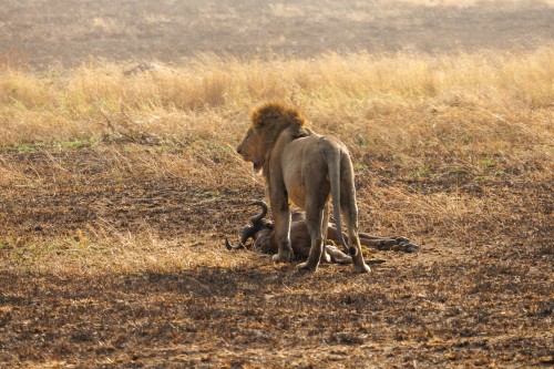 Tanzania26-9781.jpg