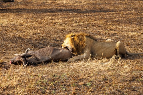 Tanzania26-9788.jpg