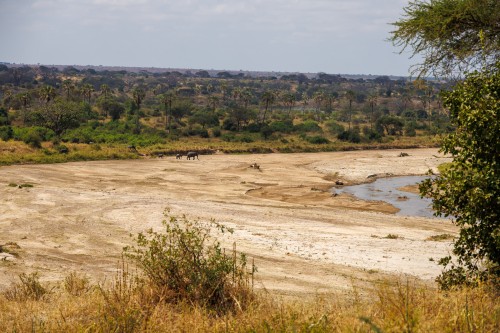 Tanzania26-1272.jpg