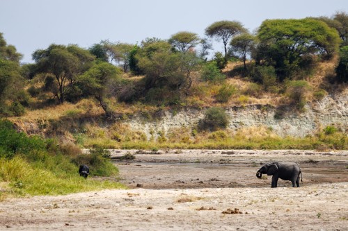 Tanzania26-1290-742.jpg