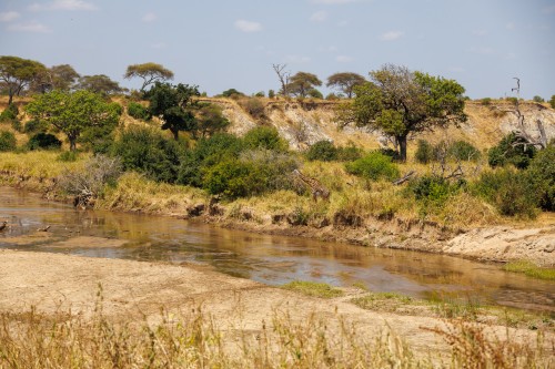Tanzania26-1375.jpg