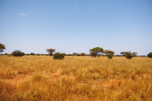 Tanzania26-1414.jpg