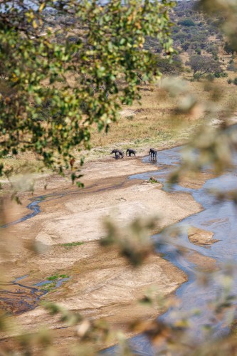 Tanzania26-1433.jpg