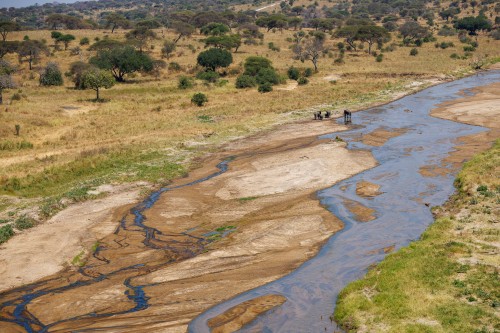 Tanzania26-1447.jpg