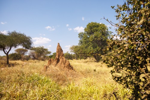 Tanzania26-1476.jpg