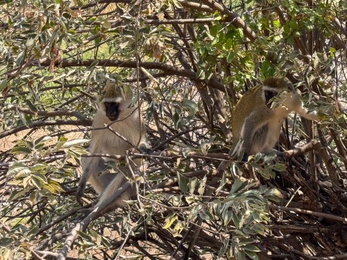 Tanzania26-5656.jpg