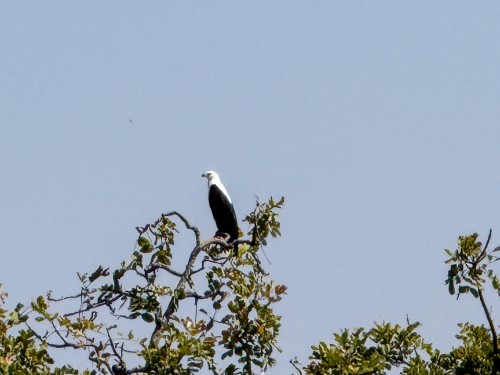 Tanzania26-5660.jpg